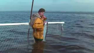 Haaf Netting on the Solway - August, 2011 (Full Version)