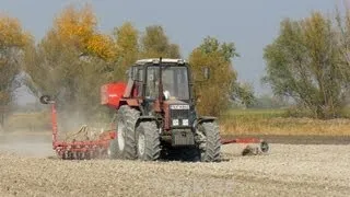 Mtz 1025 + Mascar Oregon Búza Vetés.