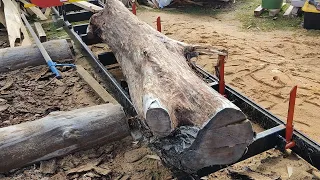 Poplar?? This was one of the coolest looking logs I've ever cut!