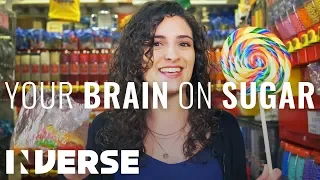 Your Brain On Sugar | Inverse