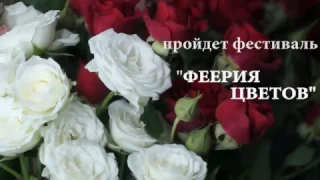 феерия цветов