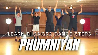 Learn Bhangra Dance Online Tutorial For Advanced Dancers | Phumniyaan Step By Step | Lesson 6