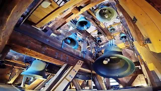Die Glocken des Freiburger Münsters - Vollgeläut am Patrozinium 2023