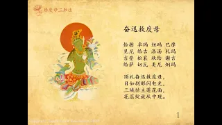 《二十一度母礼赞文》：喇嘛丹增桑波与阿尼琼英卓玛唱诵 (21 Praises to Tara Chanted by Lama Tenzin Sangpo and Ani Choying Drolma)
