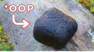 Cube Shaped Poo* | Amazing Facts | inFactus
