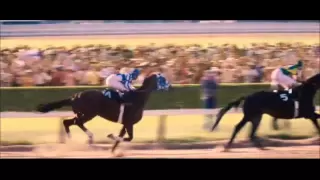 Impossible-Secretariat