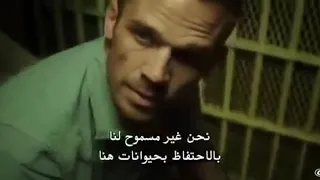 فلم اجنبي مترجم