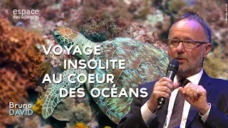 🐡[Bruno David] Voyage insolite au cœur des océans