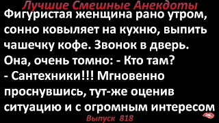 Сантехники и одинокая женщина. Лучшие смешные анекдоты  Выпуск 818