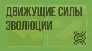 Движущие силы эволюции: наследственность, изменчивость, борьба за существование и естественный отбор