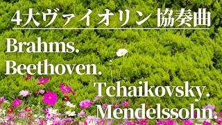 【名曲クラシック】4大ヴァイオリン協奏曲（ブラームス、メンデルスゾーン、チャイコフスキー、ベートーベン）作業用BGM  Vioiin Concerto.