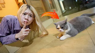 PRANK TINGGALIN BOO,CIKU DAN PAM PAM KUCING DI LUAR RUMAH!! GAK TEGA LIHATNYA!!