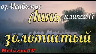 Русская Рыбалка 4 оз Медвежье Линь Золотистый 12 08 23