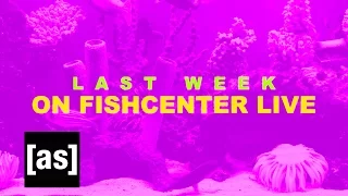 FishCenter Recap 4/24/17 | FishCenter | Adult Swim