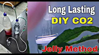 HOW TO MAKE DIY CO2 FOR PLANTED AQUARIUM | LONG LASTING DIY CO2 SYSTEM FOR YOUR PLANTED TANK