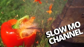 How weed eater works in SLOW MOTION at 2000fps