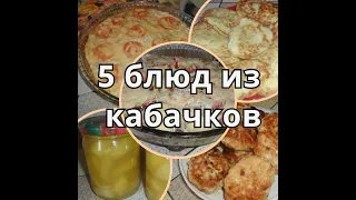 5 блюд из кабачков. Моя подборка рецептов / 5 dishes out of zucchini. My selection of recipes