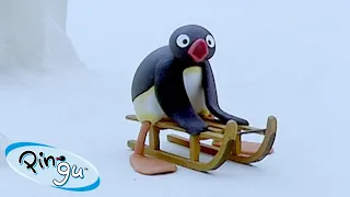 Pingu is on Vacation 🐧 | Pingu - Official Channel | Cartoons For Kids