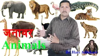 How To Learn Animals Name In Sign ?? For Nepali Sign Language Beginners (NSL) II By Hari Adhikari