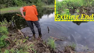 Culvert Blasts Water Out Of Beaver Pond As I'm Unclogging It