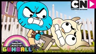 Gumball | The Watterson Family 2.0 | Cartoon Network