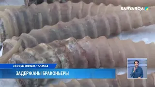 Задержаны браконьеры