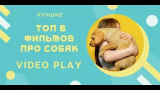 ЧТО ПОСМОТРЕТЬ? ТОП 6 ФИЛЬМОВ ПРО СОБАК