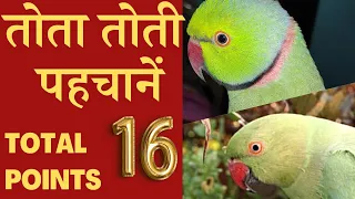 कैसे पहचानें तोता है या तोती? How to identify male and female parrot difference? तोता तोती में फर्क