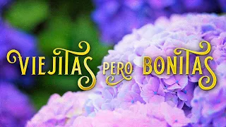 LAS MEJORES 50 BALADAS DEL RECUERDO EN INSTRUMENTAL, PIANO ROMANTICO Y MELODIAS