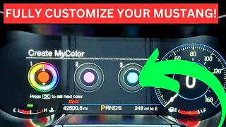 How To Use MyColor On Your Mustang | Create CUSTOM Colors For Your MUSTANG!