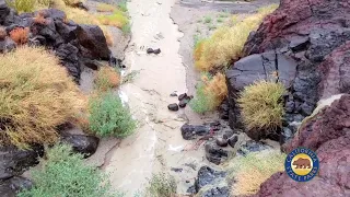 Red Rock Canyon State Park Flooding from Tropical Storm Hilary