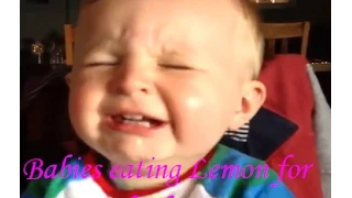 Babies eating lemon for the first time - Funny video compilation