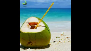 Are Coconut Water and Coconut Milk the Same?