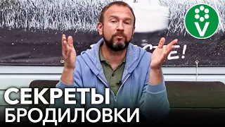 ЗЕЛЕНОЕ УДОБРЕНИЕ СТАНЕТ В 2 РАЗА ЦЕННЕЕ, если вы добавите в него это средство