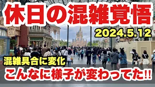 【様子変化】こんなに混んでるの？週末光景が大きく変わった！現在の東京ディズニーランドの様子（2024-5-12）