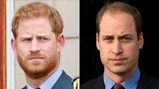 The Truth About William & Harry's Relationship Finally Revealed