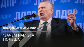 Жириновский "зачем нам эта Польша"