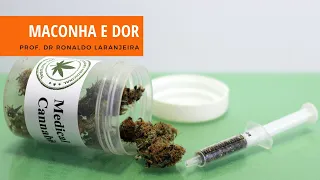 Maconha e Dor