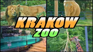 KRAKÓW ZOO - Ogród Zoologiczny w Krakowie - Poland (4K)