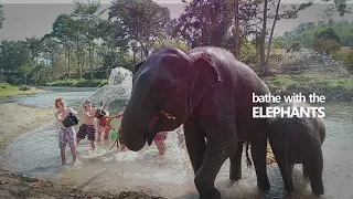 Elephant Freedom Project In Chiang Mai Thailand Offers A Once In A Lifetime Elephant experience