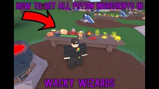 All Item Locations [Wacky Wizards] Roblox