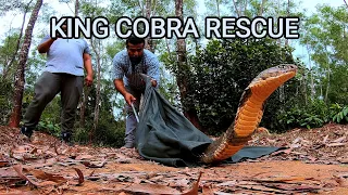 Rescue of a big deadly venomous King cobra in a car by Jayakumar in India