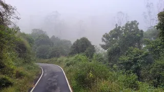 Kerala Ep 06 || Jungle Safari in Periyar National Park || Thekkady || Gavi Eco Tourism Visit