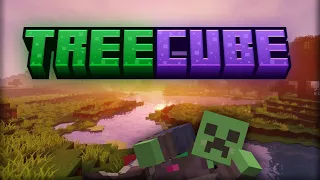 Вторая заявка на TreeCube