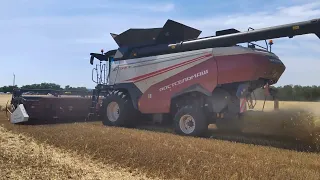 Уборка зерновых - 2023