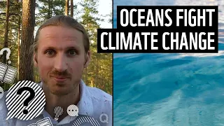 How do oceans help fight climate change? | WWF