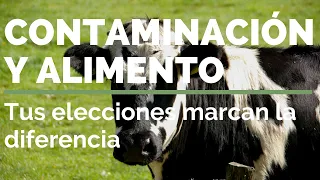 MINDFULNESS: CONTAMINACIÓN Y ALIMENTO - Tus elecciones marcan la diferencia