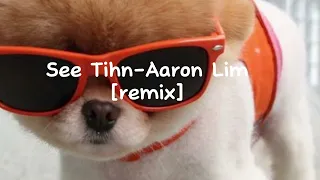 See Tihn-Aaron Lim [remix +speed up ]"2+2 is 4 ,oh wait, four letters in Chinese".