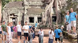 The Beautiful and looted Temple Ruins of Cambodia | Jungle Temples | តាព្រហ្ម បេងមាលា ព្រះខ័ន
