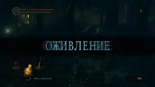 Dark Souls Remastered.9серия.Лунная бабочка.Угли для оружия.Кольцо из темного дерева.